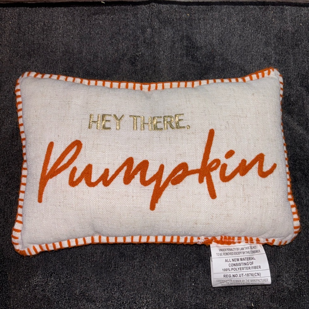 Hey there pumpkin throw pillow (NWT)